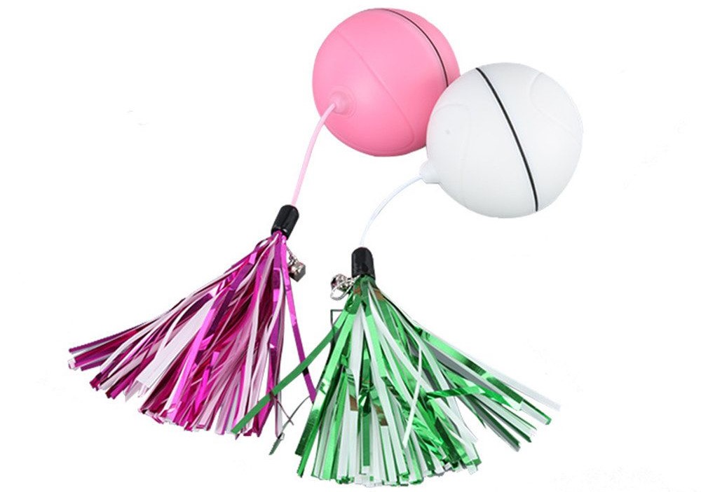 Cat Toy