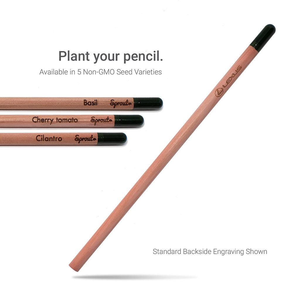 sprout pencil