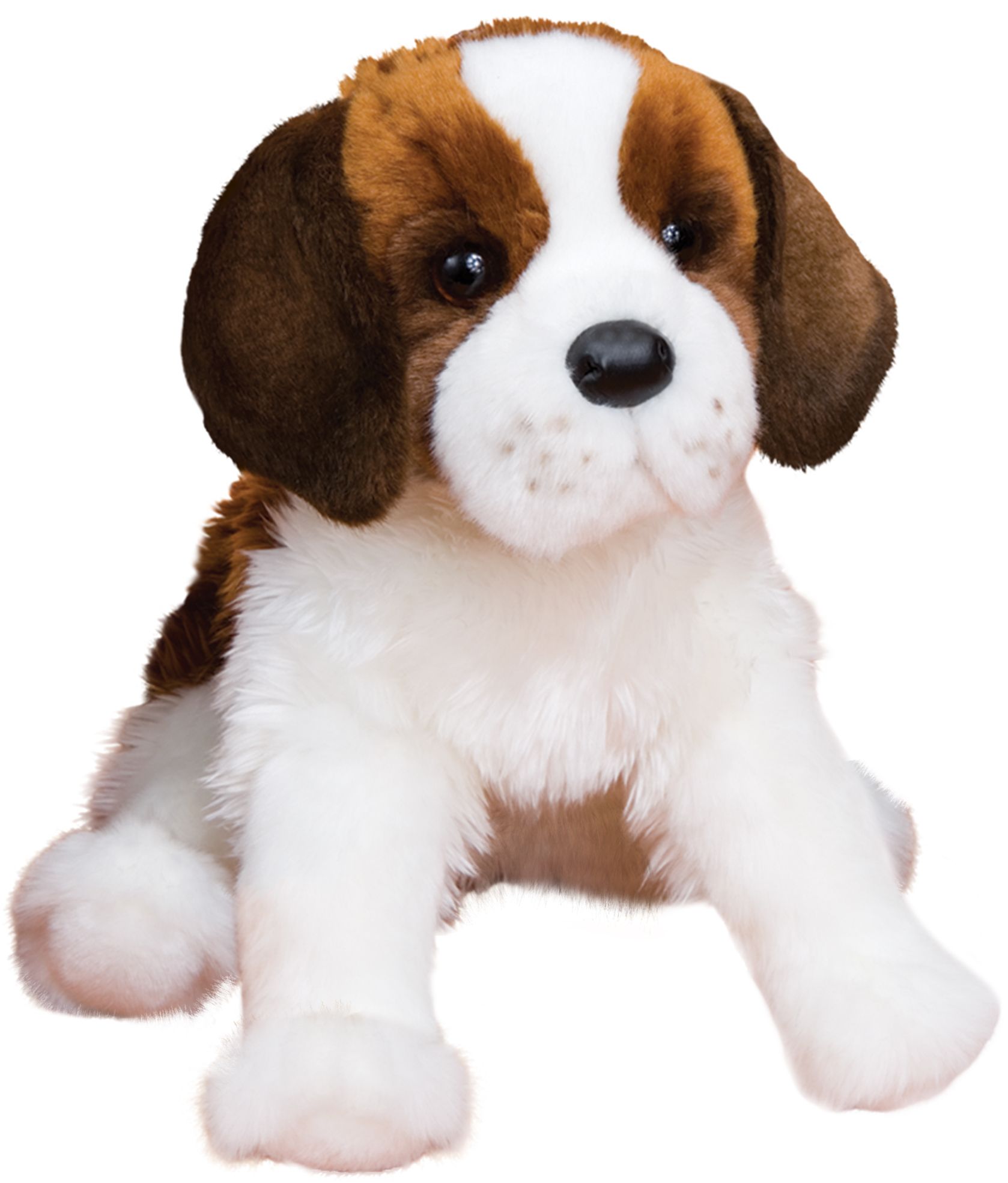 Oma St Bernard