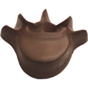Chocolate Vertebrae