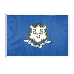 Connecticut Flags 8x12 foot
