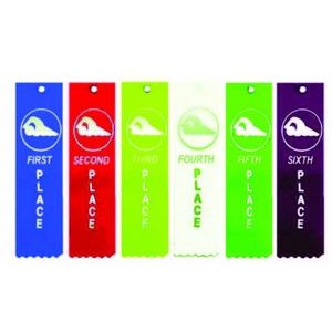 Standard Swim Award Ribbons