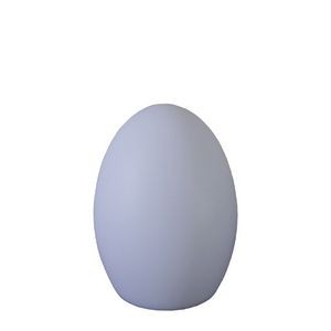 Egg Shape Smart Table Lamp