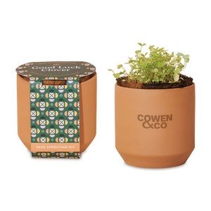 Modern Sprout® Tiny Terracotta Grow Kit Good Luck Clover - Terracotta