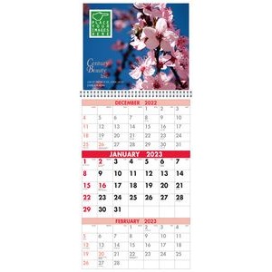 Custom 3-Month Appointment Wall Calendar (Digital)