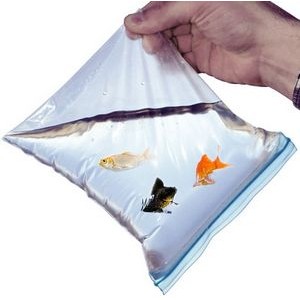 3 Mil Zip Style Leakproof Bag (7"x8")