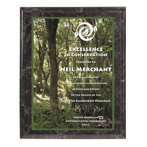 USA Marbled Black Finish Award Plaque-Full Color 8"x10"