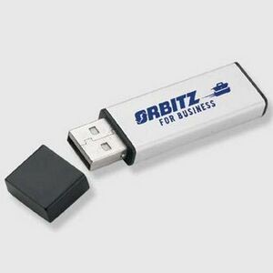 Pro USB Flash Drive w/Key Chain (64 GB)
