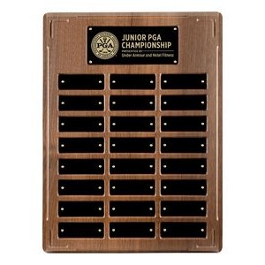 Applause Annual Plaque w/Laser Engraved Plate (12" x 16")