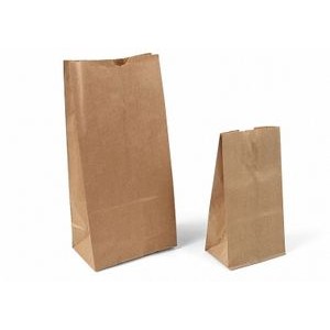Stand Up Plain Brown Kraft Paper Merchandise Bag (11"x6"x17")