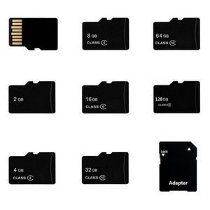 Micro SD card w/SD Card Adapter (1 GB)