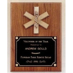 Emergency Medical Award Plaque w/ Antique Bronze Finish Casting (9"x12")