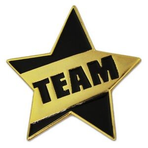 Teamwork - Team Star Pin