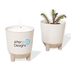 Modern Sprout® Glow & Grow Live Well Gift Set - Ice Blue: Frosted Forest w-Spruce Seeds