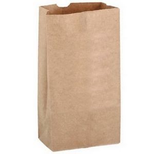 13.94" Kraft Brown Paper Bag
