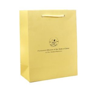 Custom Art Paper Shopping Bag with Cotton Ropes