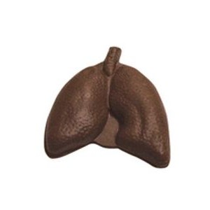 Chocolate Lungs