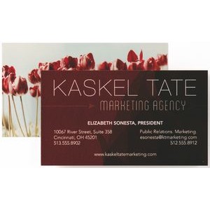 Full Color Business Cards w/Color Front/Blank Back (3.5" x 3.5")