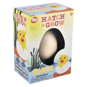 Hatch And Grow Duck Egg