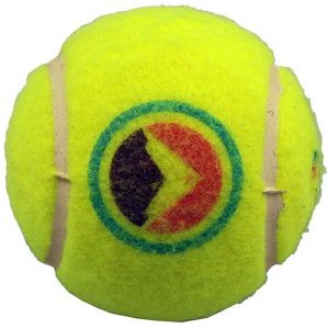 Printed Tennis Ball