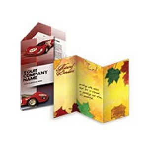 Sell Sheet Flyer/ Brochures w/ Gloss Coating 2 Sided 4/4 (9"x12")