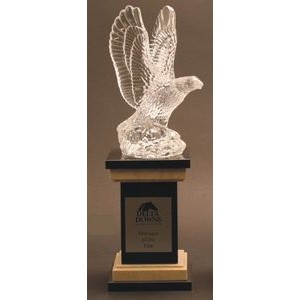Waterford Crystal Fred Curtis Eagle Award