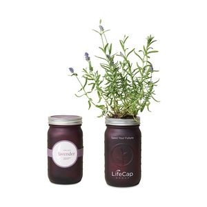 Modern Sprout® Indoor Herb Garden Kit - Lavender