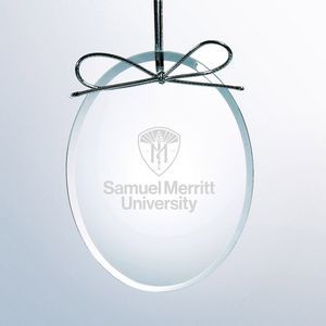 Clear Glass Oval Ornament