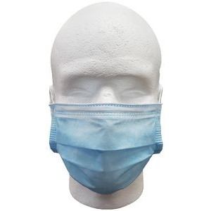 Pleated Disposable Masks (Box)