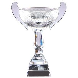 Optic Crystal Cup Award - 15'' h