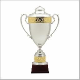 25" Estate Award Winner Trophy