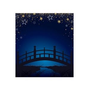 Starry Night Bridge Photo Prop