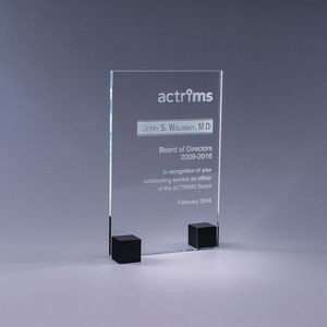 7" Elements Award - Black