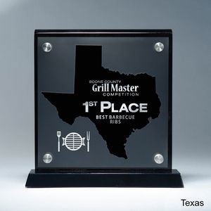 Frosted Lucite TX State Cutout on Risers Award