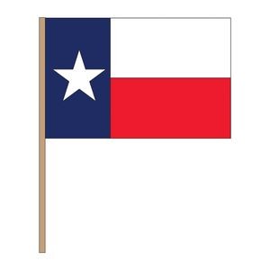 Texas Hand Flag (9" x 12")