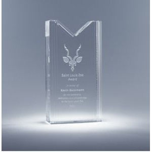 8" Lonique Award