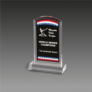 Freedom Corporate Stars Stripes Award™ (5"x7¾")