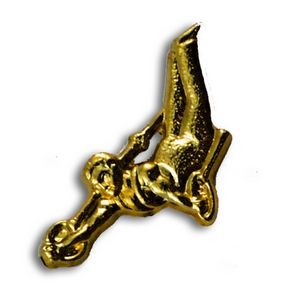 Male Gymnast Chenille Letter Pin
