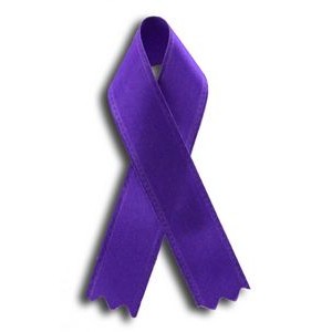 Blank Animal Abuse/ Domestic Violence Awareness Ribbon Pin (3 1/2")