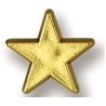 Gold Star Stock Design Plastic Lapel Pin