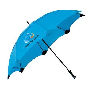 The Shield Umbrella
