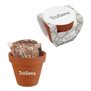 Terracotta Pot w/Seeds