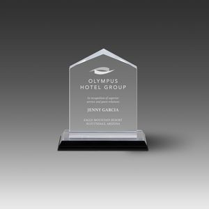 Jewel Impress™ Award (4-5/8"x 5½"x1-5/8")
