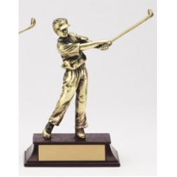 Small Male Golfer Award w/Base
