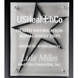 3-Dimensional Beveled Star Stand Out Plaque™ (8"x10"x1")