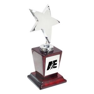 Silver Metal Flying Star Award Trophy on High Gloss Piano wood finish stand