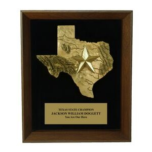 Texas w/Star Shadow Frame Plaque 11x14