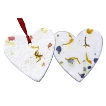 Seed Paper Heart Gift Set