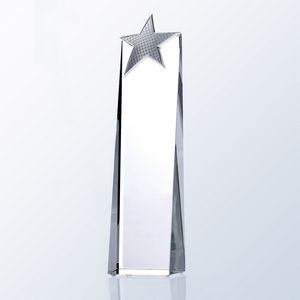 Metal Star Tower Award