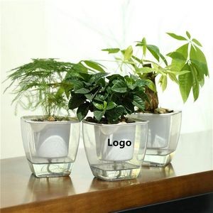 Self-Watering Planter Clear Plastic Automatic-Watering Planter Flower Pot For Hydroponic PLant